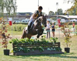 Springpferd Clyde (Welsh Pony (Sek.B), 1999, von Conrado)