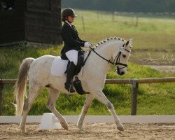 dressage horse Donavans Destination (German Riding Pony, 2005, from HB Daylight)