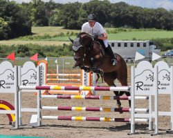 broodmare Quinta Ac Z (Zangersheide riding horse, 2005, from Quinar)