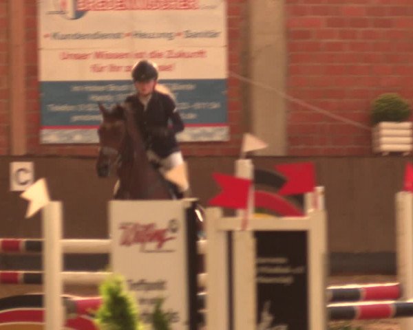 Reitturnier Hüllhorst 2017