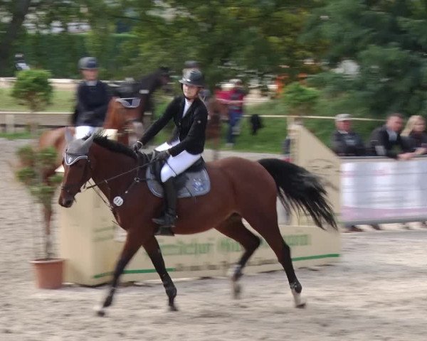 Reitturnier Greppin 2017