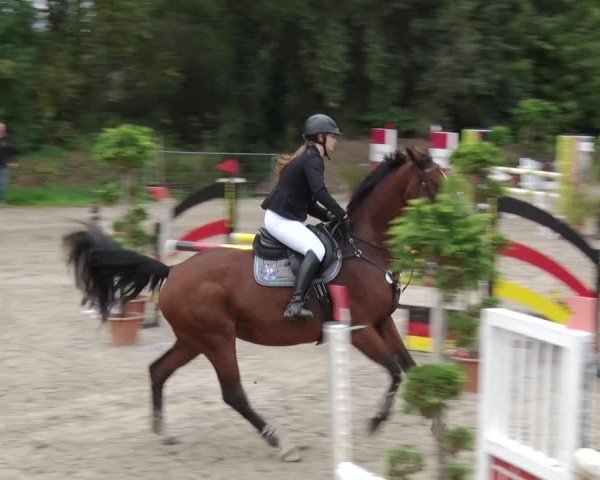 Reitturnier Greppin 2017