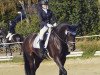 dressage horse Jambu I.Dancer (KWPN (Royal Dutch Sporthorse), 2014, from Zack)