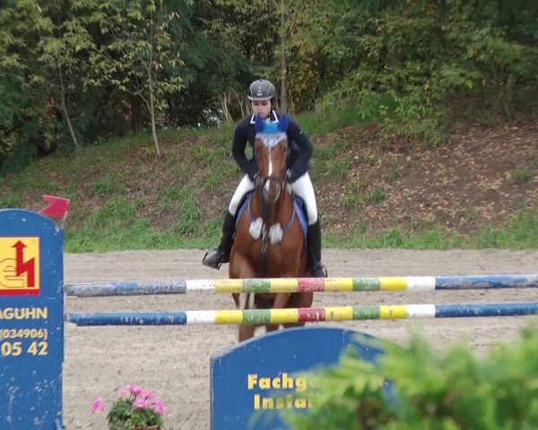 Reitturnier Greppin 2017
