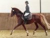 Springpferd Deejay 11 (Deutsches Reitpony, 2010, von FS Daddy Cool)