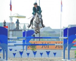 stallion Carrera (KWPN (Royal Dutch Sporthorse), 2007, from Larino)