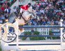 jumper Clinta (Oldenburg show jumper, 2007, from Clinton)