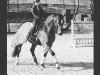 dressage horse Basic Brownie (Westphalian, 2009, from Basic)