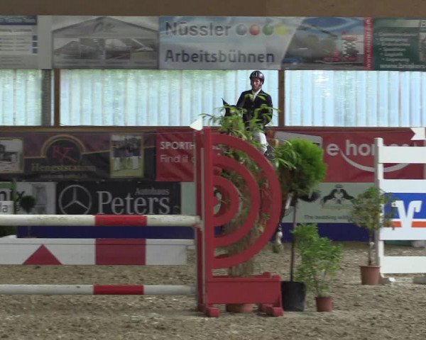 Reitturnier Isterberg 2017