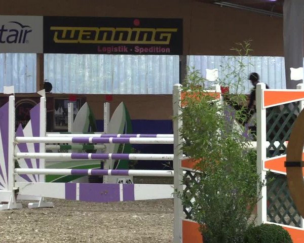 Reitturnier Isterberg 2017
