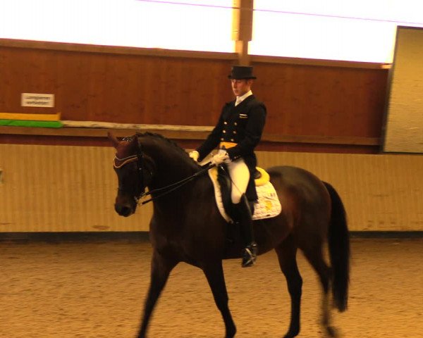 Reitturnier Uetz 2017