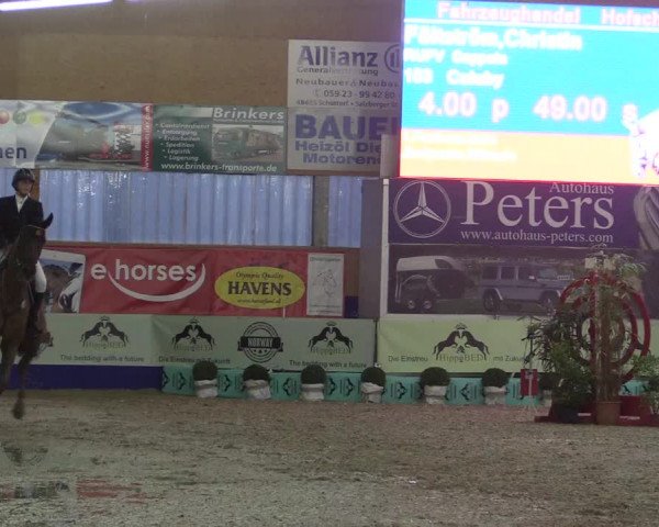 Reitturnier Isterberg 2017