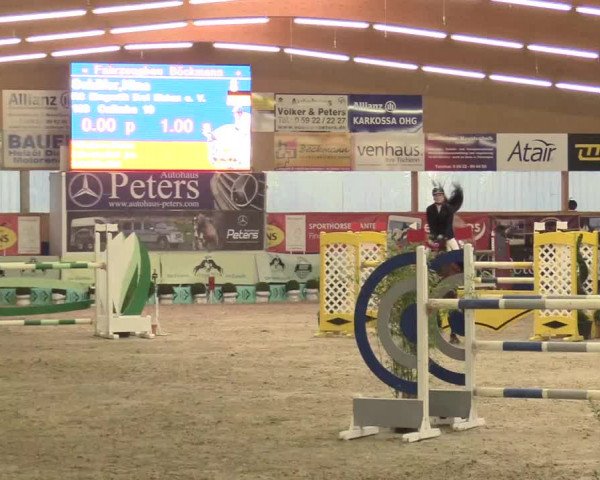 Reitturnier Isterberg 2017