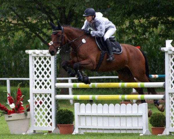 jumper Regenmacher (German Sport Horse, 2007, from Ruben As)