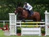 jumper Regenmacher (German Sport Horse, 2007, from Ruben As)