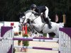 jumper Calibra (Danish Warmblood, 2010, from Cosmeo)