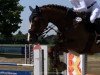 jumper Dolce Cavalli Von Der Held (Zweibrücken, 2007, from Deauville van T&L)