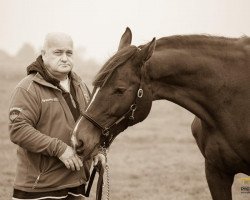 Zuchtstute Clinta Ramira (Hessisches Warmblut, 2009, von Clintord)