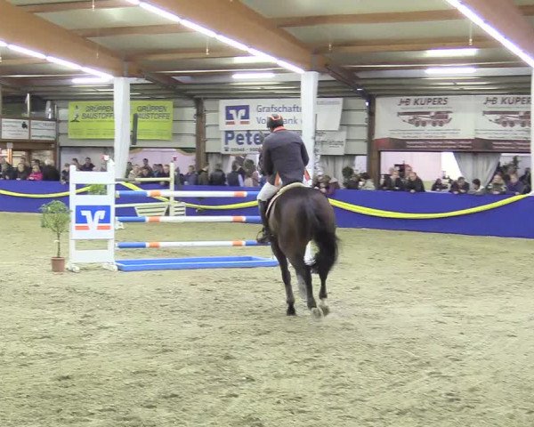 Reitturnier Isterberg 2017