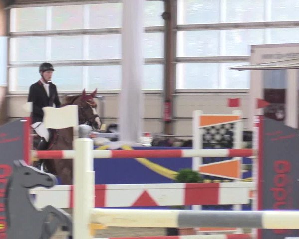 Reitturnier Isterberg 2017