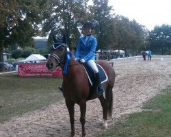 Dressurpferd Freckles Otoe Badger (Quarter Horse, 2006, von Awesome San Badger)