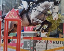 jumper Kilkenny III (Irish Sport Horse, 2012, from Ars Vivendi)