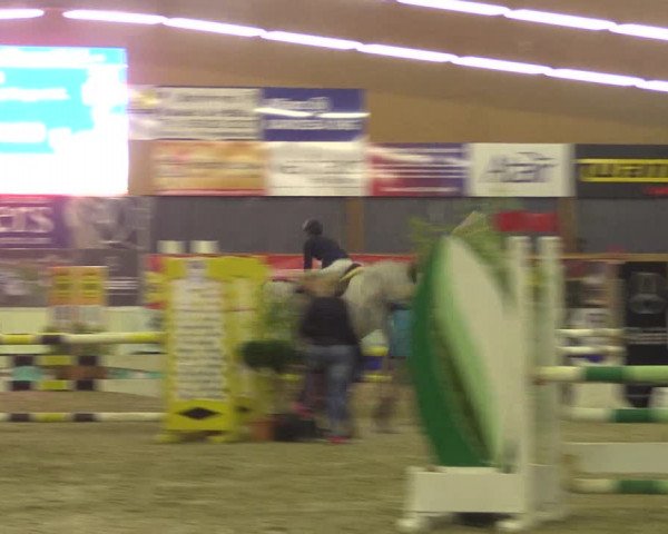 Reitturnier Isterberg 2017