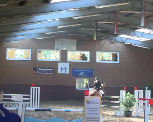Reitturnier Gadebusch 2017