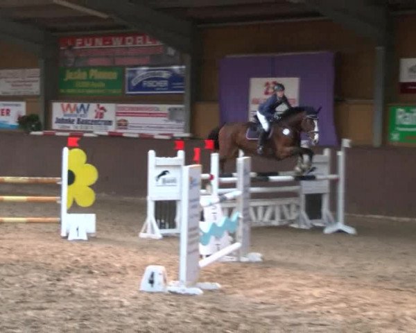 Reitturnier Gadebusch 2017