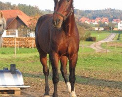 broodmare Miss Desdemona (Baden, 1997, from Pirano I)