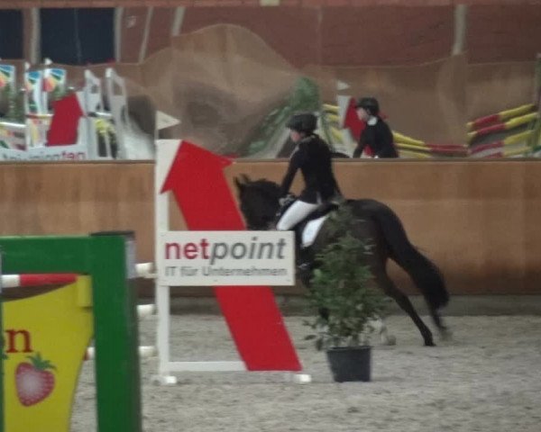 Reitturnier Mönchengladbach-Wickrath 2017
