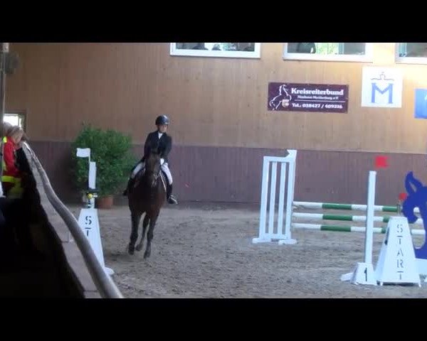 Reitturnier Gadebusch 2017