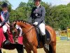 dressage horse Immentals Baltic Countess (German Riding Pony, 2007, from Baltic Dream)