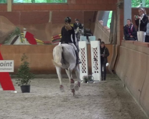 Reitturnier Mönchengladbach-Wickrath 2017