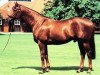 stallion Lion Cavern xx (Thoroughbred, 1989, from Mr. Prospector xx)