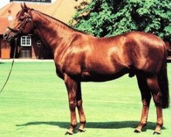 stallion Lion Cavern xx (Thoroughbred, 1989, from Mr. Prospector xx)