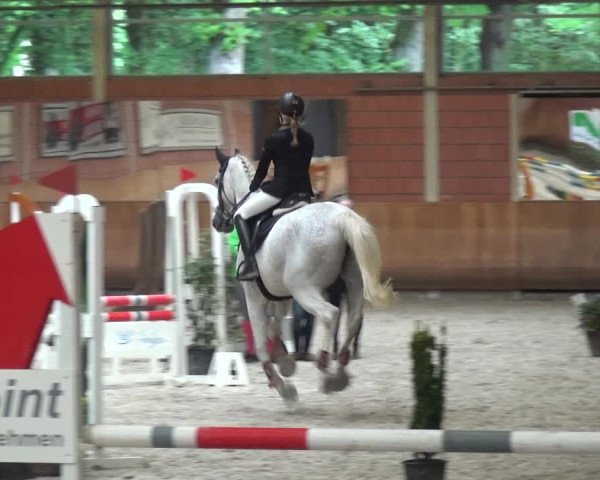 Reitturnier Mönchengladbach-Wickrath 2017