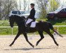 Dressurpferd Gb Sairano CH (Schweizer Warmblut, 2009, von Sinatra Song)