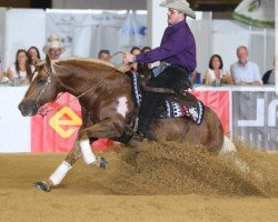 stallion Dun it With A Splash (Quarter Horse, 2005, from Reminic N Dunit)