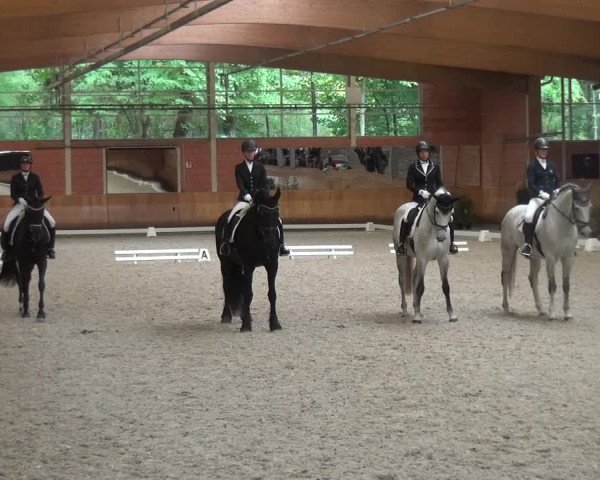 Reitturnier Mönchengladbach-Wickrath 2017