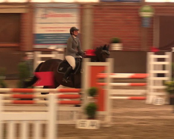 Reitturnier Hüllhorst 2017