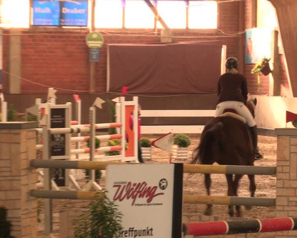 Reitturnier Hüllhorst 2017