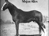 Deckhengst Major Allen (Tennessee-Walking-Horse, 1917, von Major Allen)