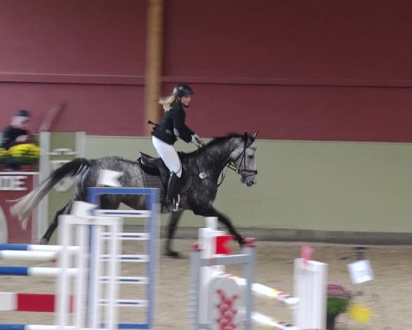 Reitturnier Angermünde OT Zuchenberg 2017