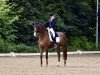 dressage horse Ranierie (Hanoverian, 2006, from Rosentanz)