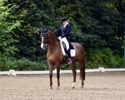 dressage horse Ranierie (Hanoverian, 2006, from Rosentanz)