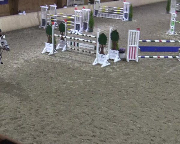 Reitturnier Hövelhof 2017