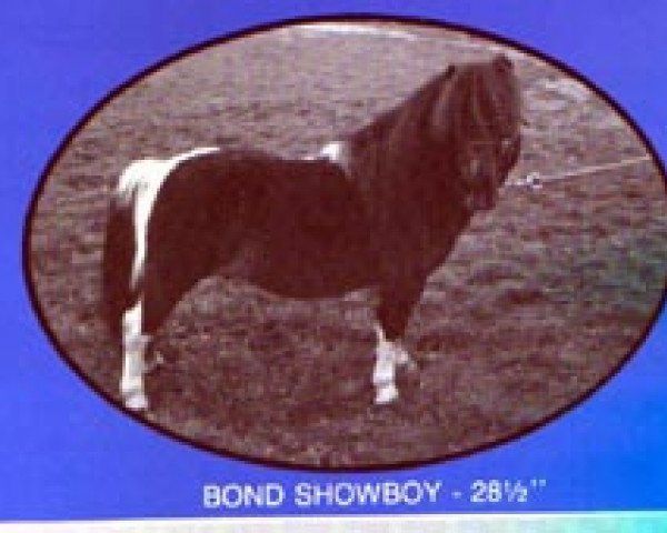 stallion Bond Showboy (American Miniature Horse, 1969, from unknown)