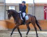 dressage horse San Otonjo (Trakehner, 2011, from Herbstbach)