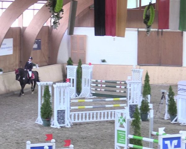 Reitturnier Hövelhof 2017